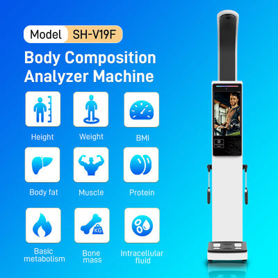 Height Weight Full Body Scanner All Age Body Composition Analyzer for Gym Clinic BMI Fat and Muscle Analysis Machine
