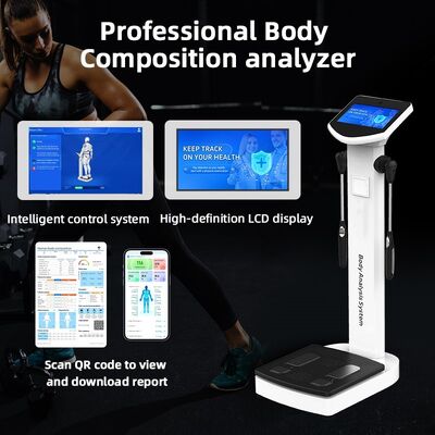 Gym Use Full Body Analyzer Body Scanner Analyzer Scanner Machine Human Composition Measurement Fat Analyse