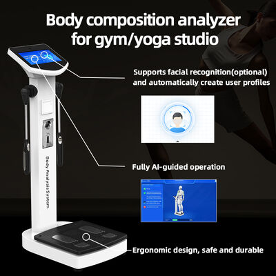 Gym Use Full Body Analyzer Body Scanner Analyzer Scanner Machine Human Composition Measurement Fat Analyse