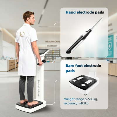 SH-10F Acht-elektrode LCD Touchscreen Lichaamsvetmeter met Wi-Fi/OEM/ODM voor Lichaamsanalyse